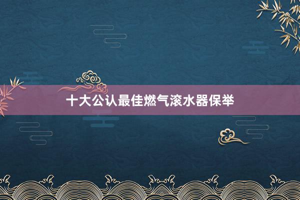 十大公认最佳燃气滚水器保举