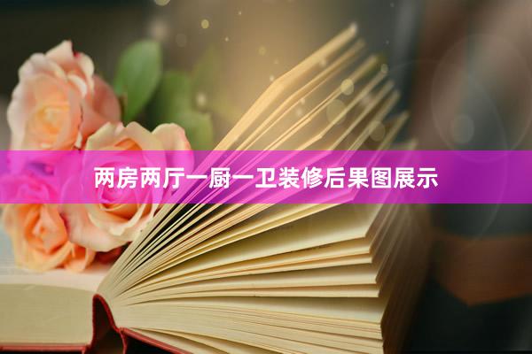两房两厅一厨一卫装修后果图展示